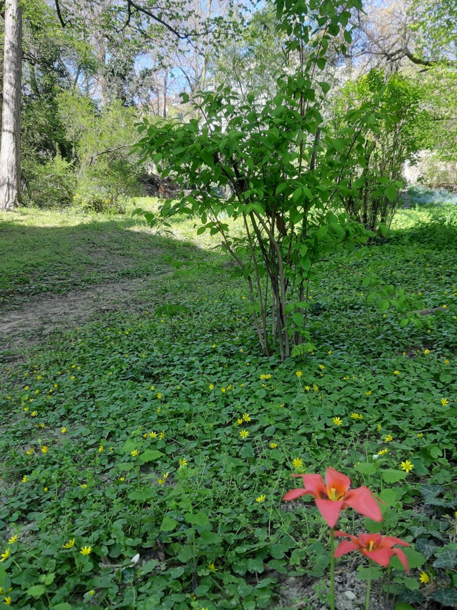 Green Hill Apartment บูดาเปสต์ ภายนอก รูปภาพ