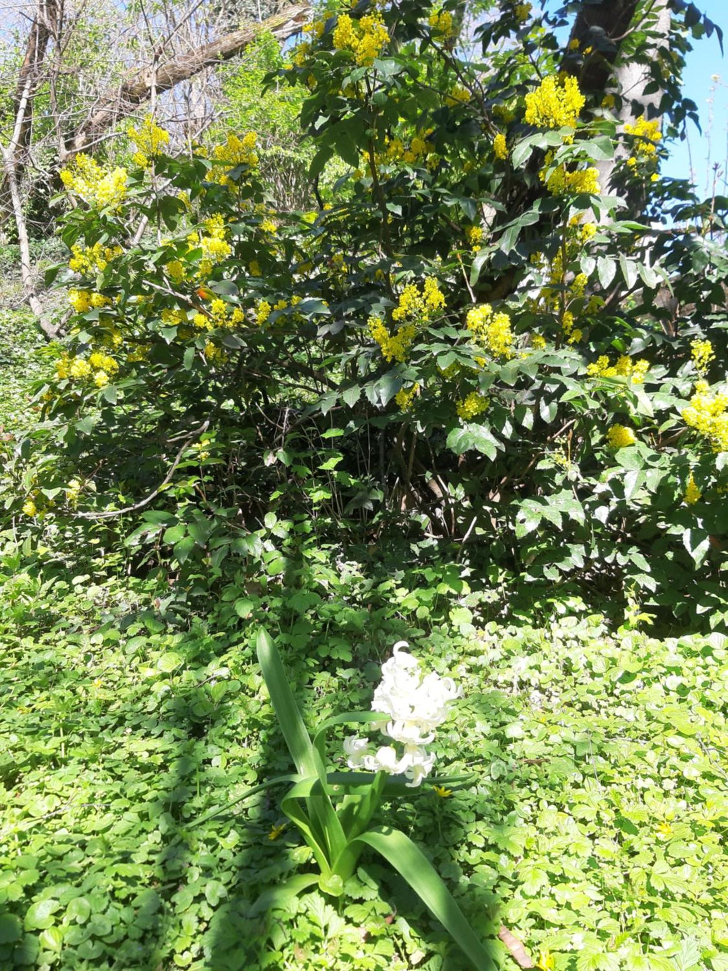 Green Hill Apartment บูดาเปสต์ ภายนอก รูปภาพ